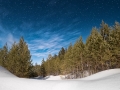 Winter dreams