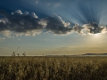 Fields and Heavens