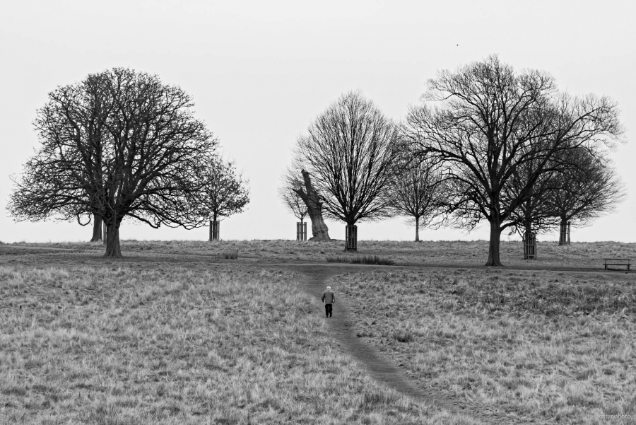Winter loneliness
