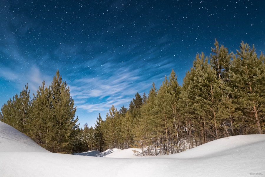 Winter dreams