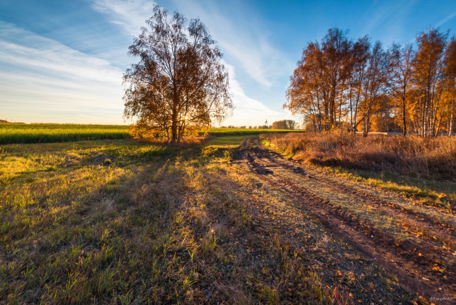 Sunrise in the autumn fields