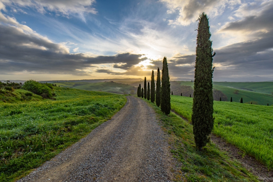 Road to the Sun