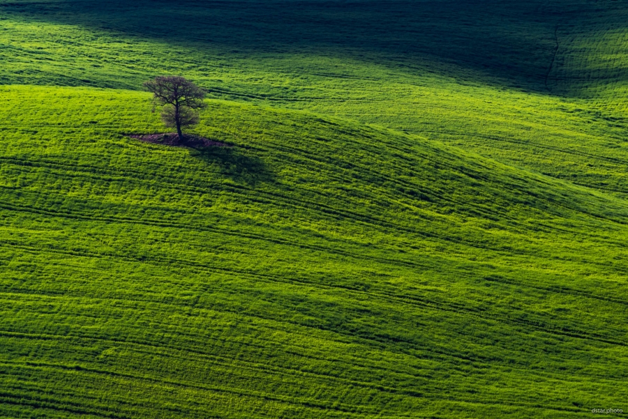 Green waves