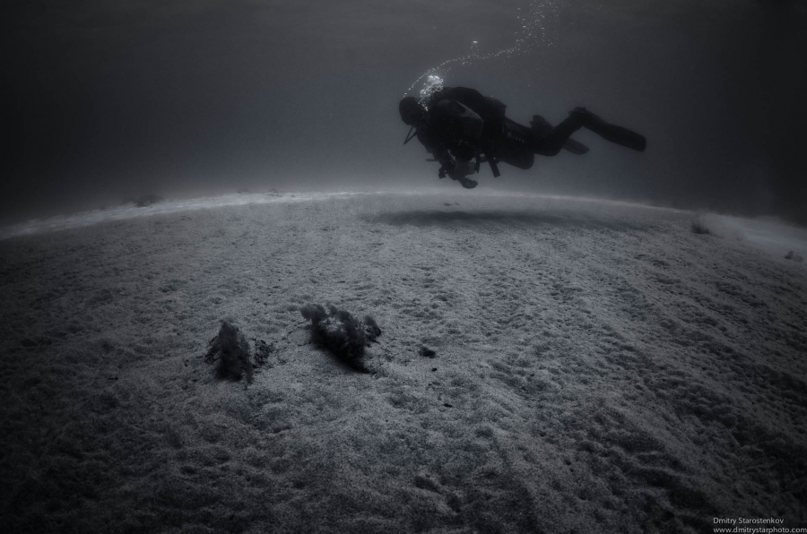 Sandy diver
