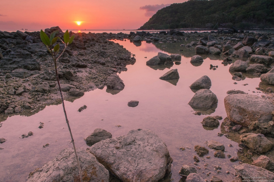 Sunset at low tide