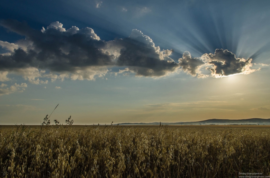 Fields and Heavens
