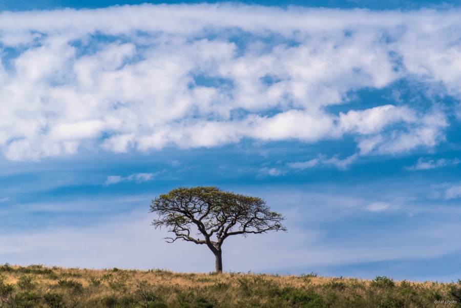 All what you need to know about Africa