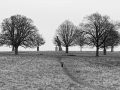 Winter loneliness