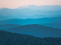 The morning lines