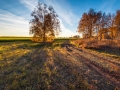 Sunrise in the autumn fields