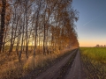 Sunrise in the autumn fields #2