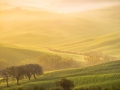 Hills, hills, hills...