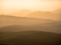 Golden light of Tuscany