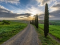 Road to the Sun