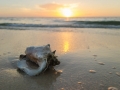 Sunset relax