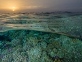Sunset in the coral fields