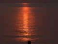 Walking at sunset