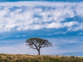 All what you need to know about Africa
